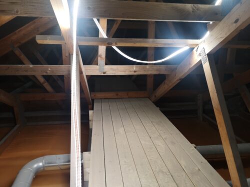 IMG_20251011_072924_1